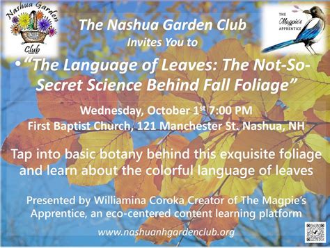 The Language of Leaves: The Not-So-Secret Science Behind Fall Foliage ...