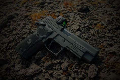 Perry's Gun Shop - Shop the Industry's Most Popular Firearms, Ammo and ...