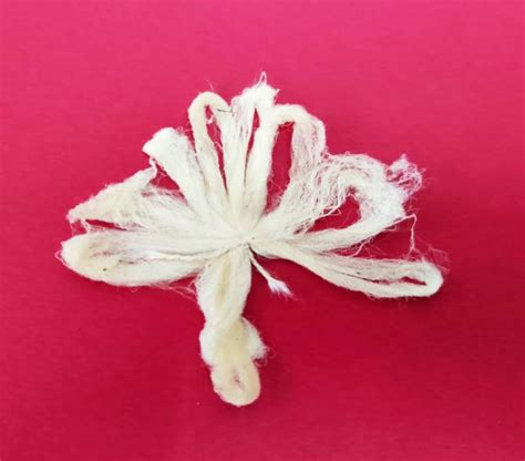 Lotus Stem wicks (Pack Of 10) Pooja Product Buy Online India ...