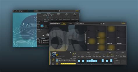 Image result for Loopcloud Play Presets