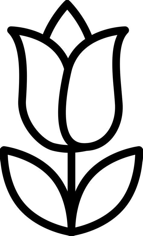 Urban Essence Advanced Clear Skin Face Wash - 10% Niacinamide, Salicyl