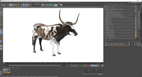 Texas Longhorn Mottled Brown Rigged for Cinema 4D 3D model | 3D Molier ...