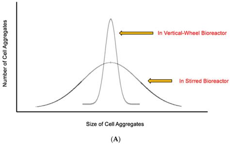 Bioengineering | Special Issue : Stem Cell Bioprocessing and Manufacturing