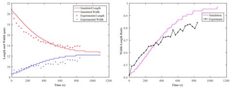 A Cell’s Viscoelasticity Measurement Method Based on the ...