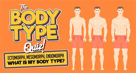 The Body Type Quiz! Ectomorph, Mesomorph, Endomorph | What Is My Body ...