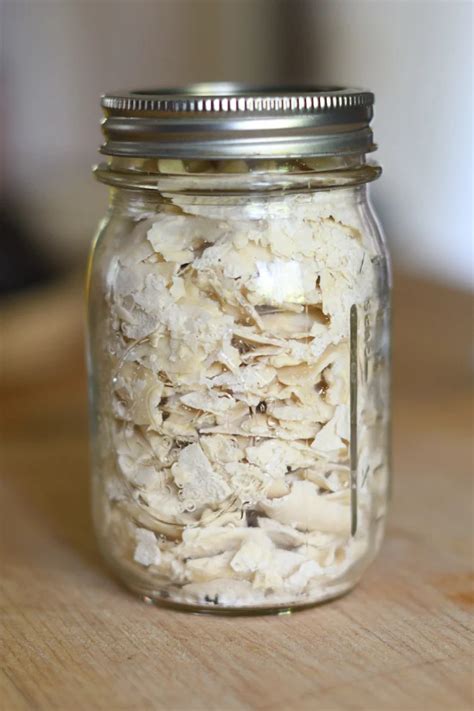 dry sourdough starter recipe