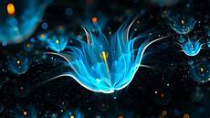 Neon Amoled Wallpaper 4k by 140 Hd And Qhd Amoled Wallpapers Neon Amoled Wallpaper 4k