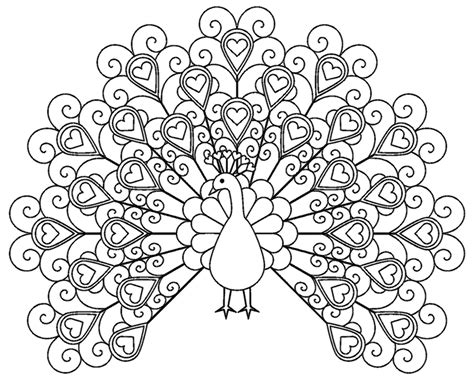 Coloring Peacocks Pages