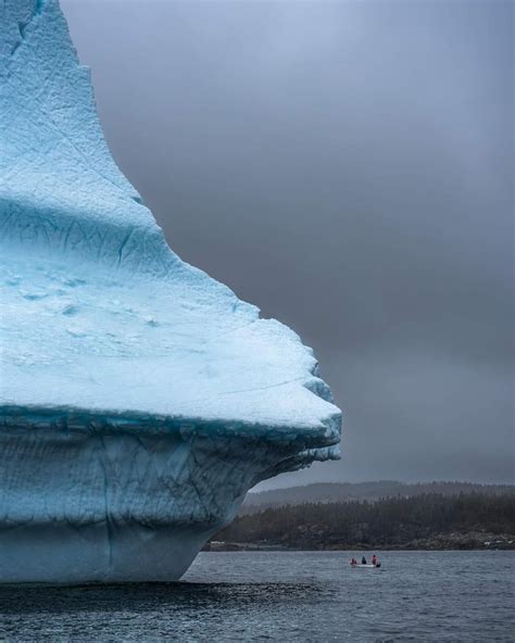 Iceberg Viewing in Newfoundland 2026 - See Sight Tours