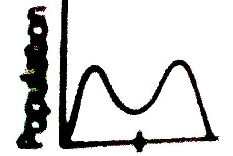 The given graph shows the range of variation among population members ...