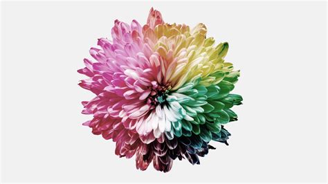 ScreenBar Halo | BenQ India