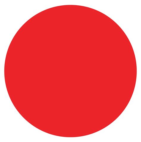 Buy CLEVER SIGNS 30 Pcs 4'' Vinyl Dots for Classroom and Kindergarten ...