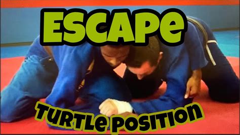 Image result for Turtleback Position