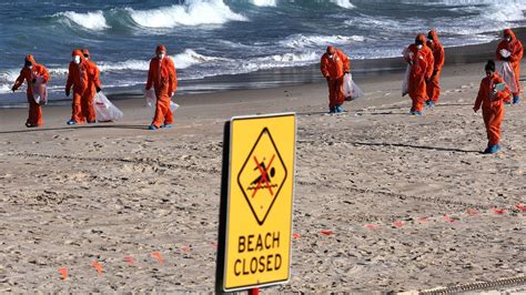 Thousands of mysterious foul-smelling balls on Sydney beach identified ...