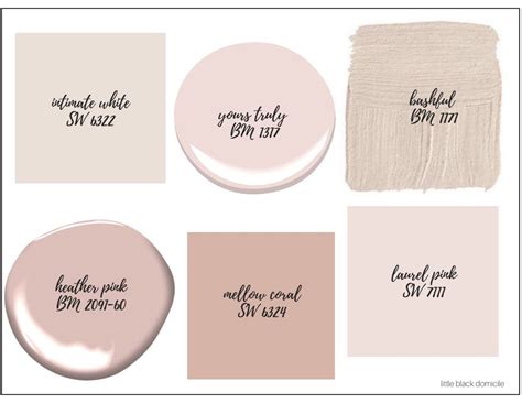 Using Blush Pink Paint Color To Create A Soft And Relaxing Atmosphere ...