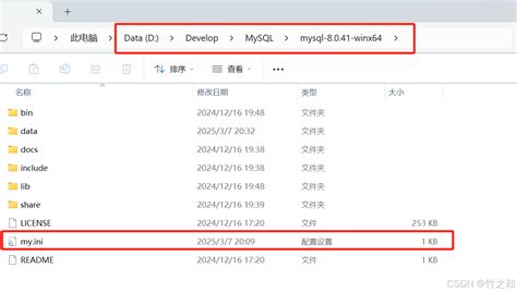 Install MySQL 8 0 42 的图像结果