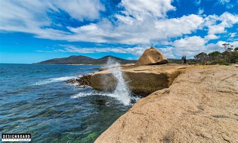 Bicheno Blowhole - 2020 What to Know Before You Go (with Photos ...