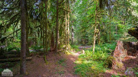 Iron Creek Campground Gifford Pinchot National Forest at Keith Criswell ...