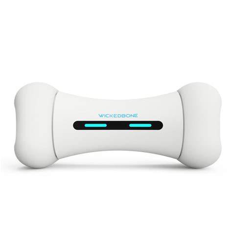 Buy Cheerble Wicked Bone Interactive Toy for Dogs online at Supertails.com