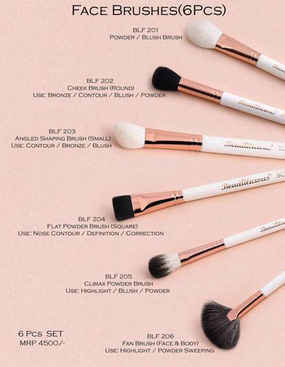 Buy 6 Piece Makeup Brush Set for Face – Beautilicious