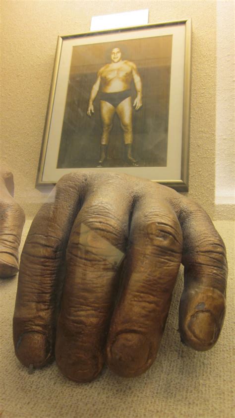 My grandsons' favorite character in "Princess Bride" was, of course ...