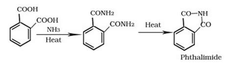 Chemistry Notes XII: Aldehydes, Ketones and Carboxylic Acids – Sarvan ...