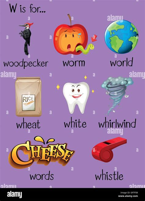 Many words begin with letter W illustration Stock Vector Image & Art ...