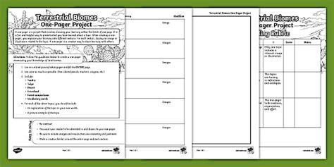 Terrestrial Biomes One-Pager Project for 6th-8th Grade