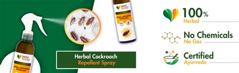 Herbal Strategi – JustOut Cockroach Repellent | Room Spray | Completely ...