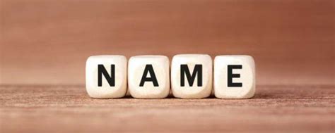 姓名学--族谱字辈取名法_家族_一代_单名