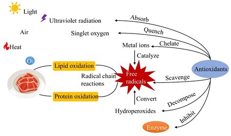 Liposomes as Delivery System for Applications in Meat Products