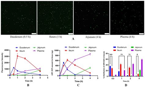 Unlocking the Potential of Camel Milk-Derived Exosomes as Novel ...