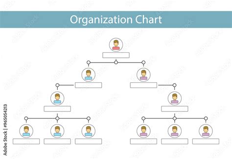 Organization Chart 的图像结果