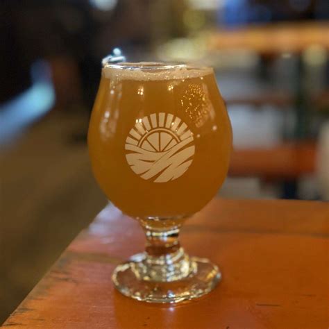 Vitamin Sea Brewing | See Plymouth