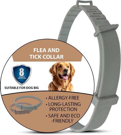 HUCHA Dog Flea & Tick Collar for Dogs | Dog Tick Remover Collar | 8 ...