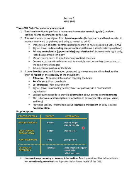 KINE 2P05 Lecture 3 - Lecture 3 KINE 2P Three CNS “jobs” for voluntary movement 1. Translate ...