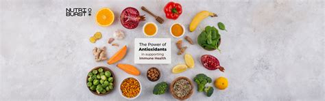 The Power of Antioxidants in supporting Immune Health – Nutriburstindia