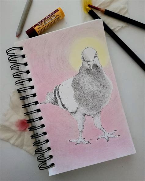 This is my sunny disposition. : r/pigeon