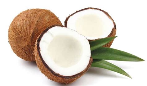 manfaat kelapa ijo