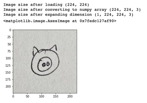 Augmented Technology Python 的图像结果