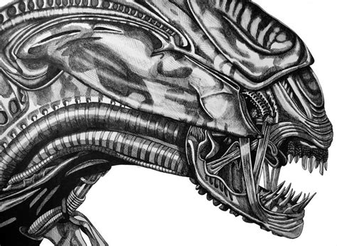 Alien Head Side Profile 的图像结果