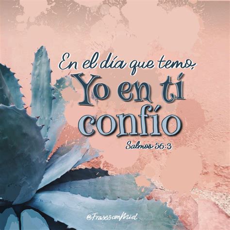 En el día que temo yo en ti confío. Salmos 56.3 Instagram.com/frases ...