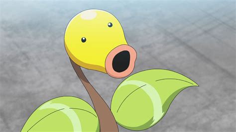 "Its large ears are always kept upright": Pokemon Pokedle answers ...