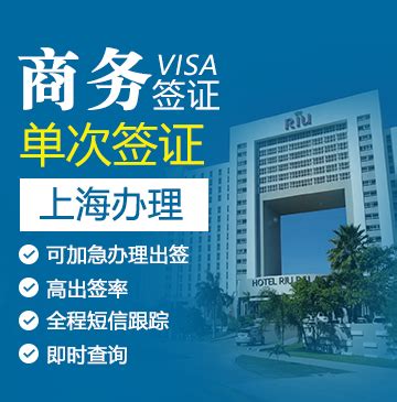 国外留学出国签证visa盖章高清图片下载-正版图片501424355-摄图网