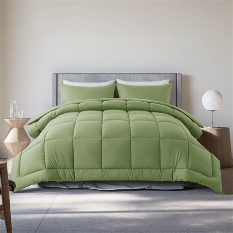 Twin Size 2-Piece All-Season Down Alternative Comforter Set Sage Green ...