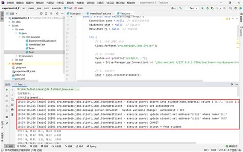 MariaDB with Java 的图像结果