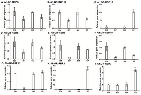 Genome-Wide Identification of the Glycine-Rich RNA-Binding Protein ...