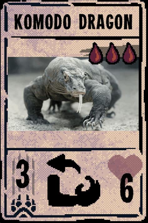 Inscriber Card 的图像结果