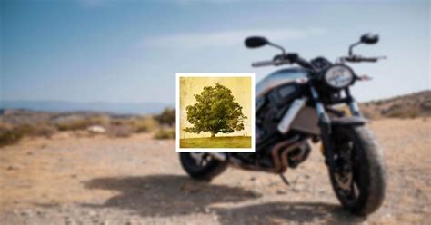 Obituary Guestbook | Jarrett Wayne Lint | Vito C. Martucci Funeral Home LLC