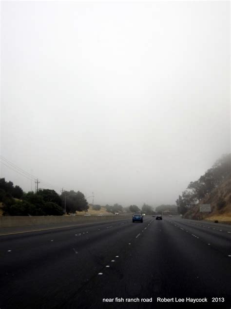 My world and welcome to it: near fish ranch road